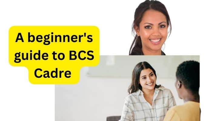 A beginner's guide to BCS Cadre