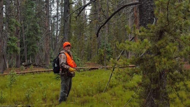 Why Should Hunters Wear Daylight Fluorescent Orange Clothing