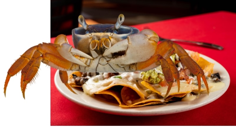 Crab Rangoon Nachos