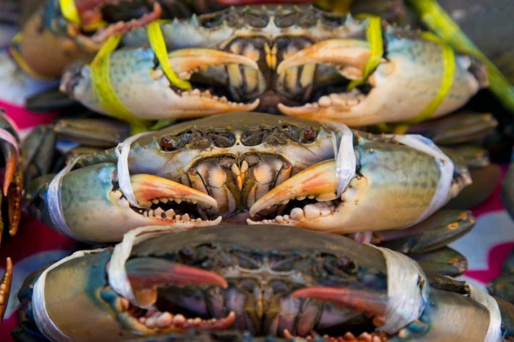 Crabs Mouth