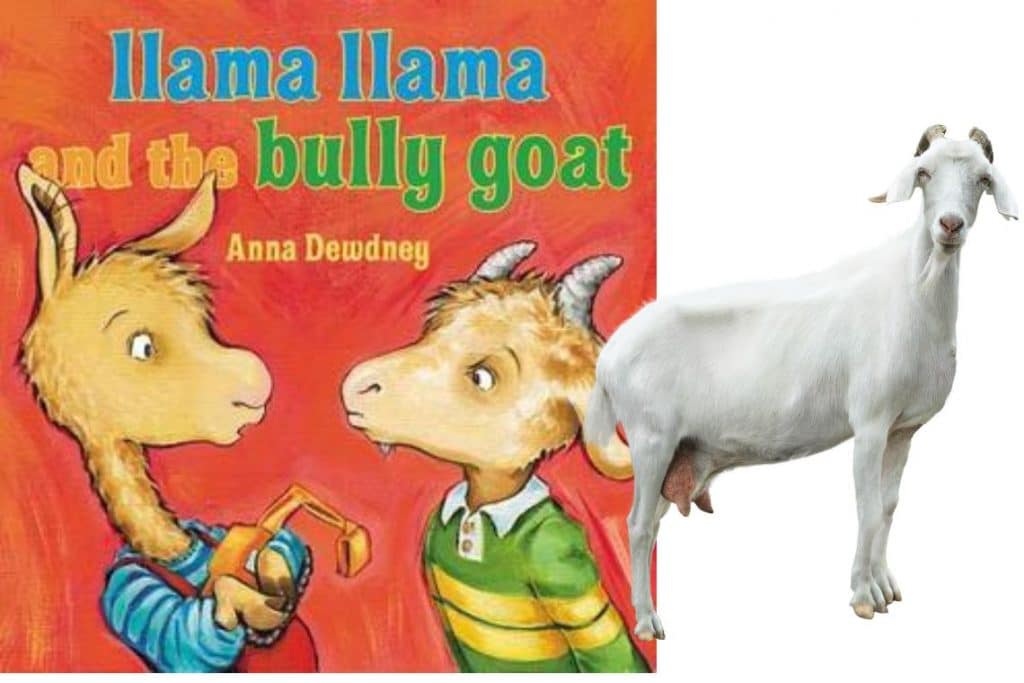 Goat bullying
