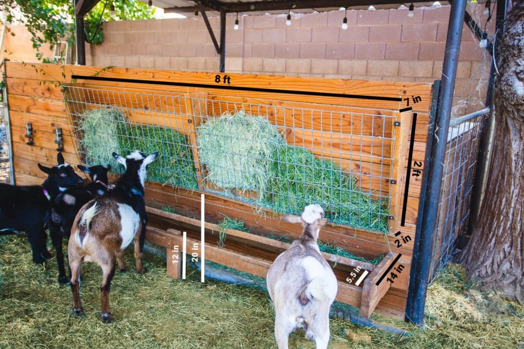 Goat Paneling