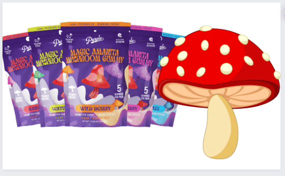 Purple Magic Amanita Mushroom Gummy